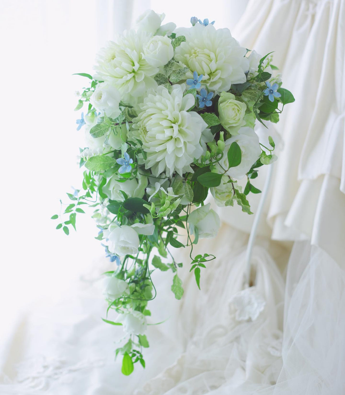 白いダリアと白バラ、サムシングブルーのブルースターを添えた、軽井沢の花嫁様への生花のブーケ