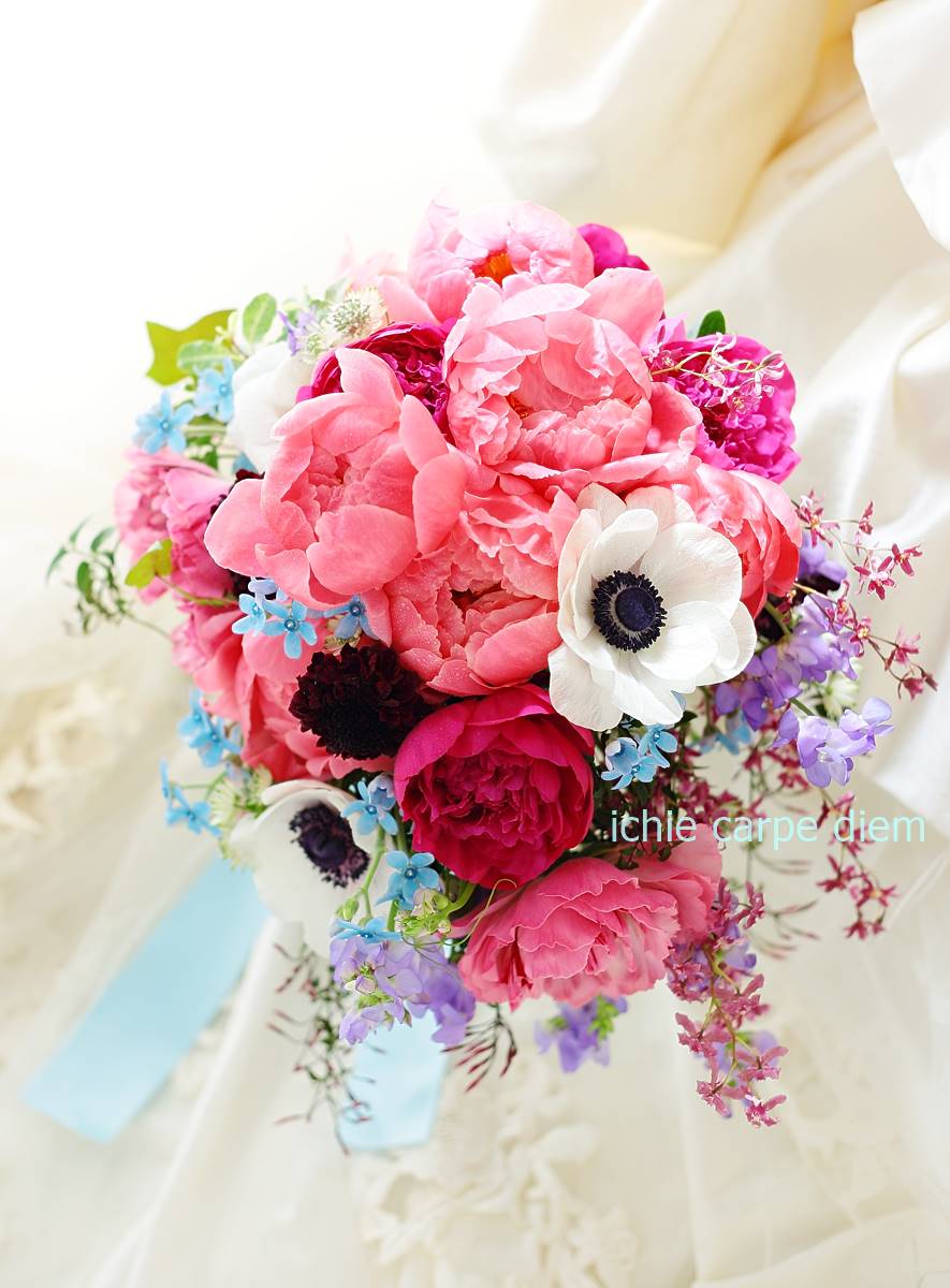 コーラルピンクの芍薬を主役に、黒い芯の白いアネモネ、水色の小花、紫のスイートピーを束ねたクラッチブーケ。明治記念館の花嫁様へ、水色のリボンで